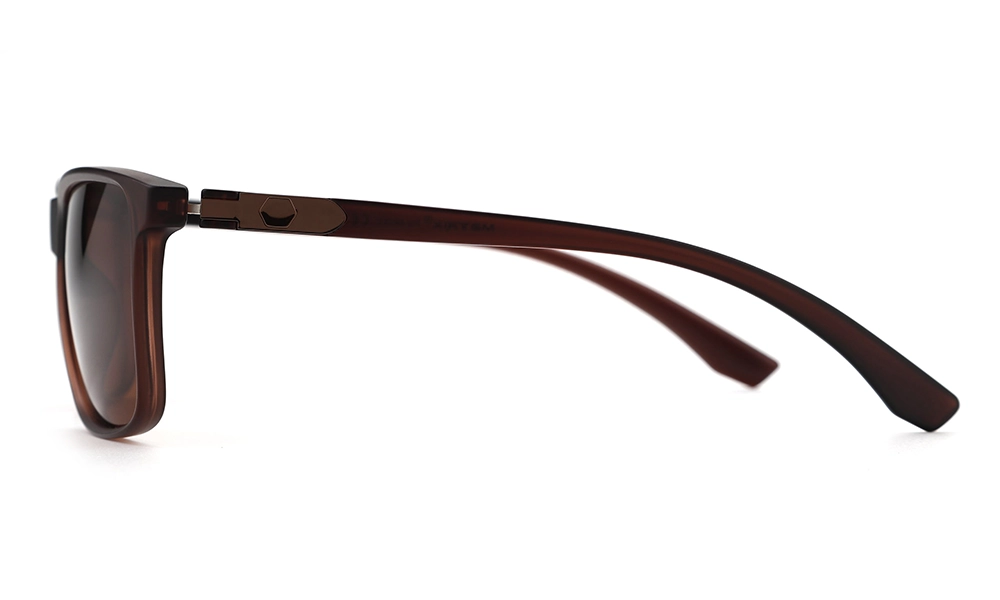 Солнцезащитные очки BRUNO BOTTI BB039 C006