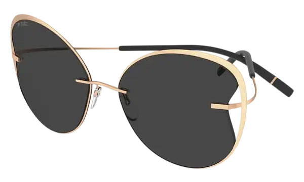 Солнцезащитные очки SILHOUETTE SG 8173 3630
