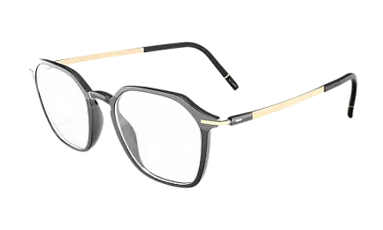 Оправа SILHOUETTE 2964_75 9130