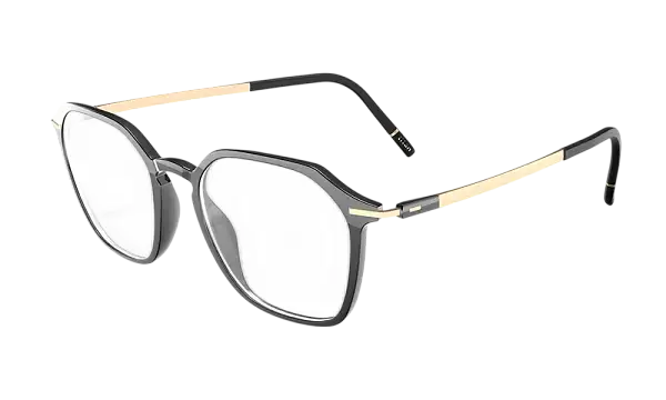 Оправа SILHOUETTE 2964_75 9130