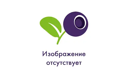 Оправа BLANCIA BC 503 C2 с клипоном