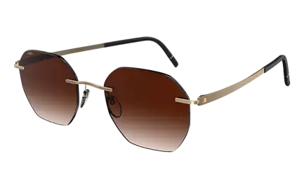 Солнцезащитные очки SILHOUETTE SG 8748 7520