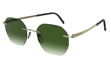 Солнцезащитные очки SILHOUETTE SG 8748 8540
