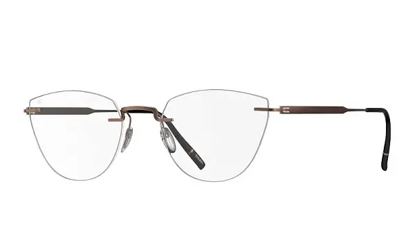 Оправа SILHOUETTE 5586_DL 6040