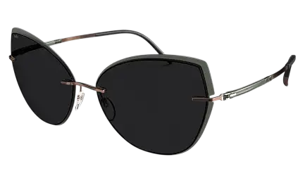 Солнцезащитные очки SILHOUETTE SG 8188 6630
