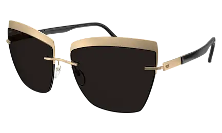 Солнцезащитные очки SILHOUETTE SG 8189 7630