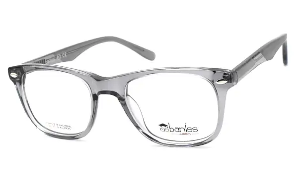 Оправа BANISS BSJ6048 C06