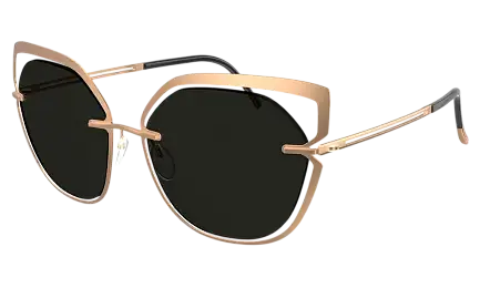 Солнцезащитные очки SILHOUETTE SG 8181 3620