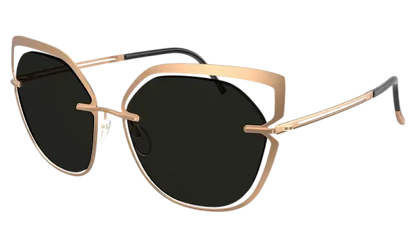 Солнцезащитные очки SILHOUETTE SG 8181 3620