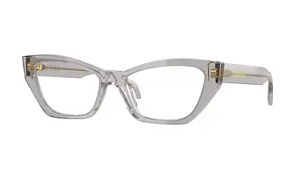 Оправа VERSACE VE 3373U 593