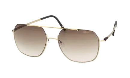 Солнцезащитные очки SILHOUETTE SG 8749 7530